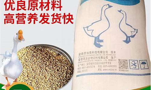 期货饲料(期货饲料指数怎么看)_https://www.eamstsz.com_北交所_第1张