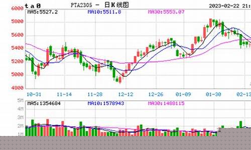 郑州pta期货行情图(郑州商品交易所pta期货价格)_https://www.eamstsz.com_上交所_第1张