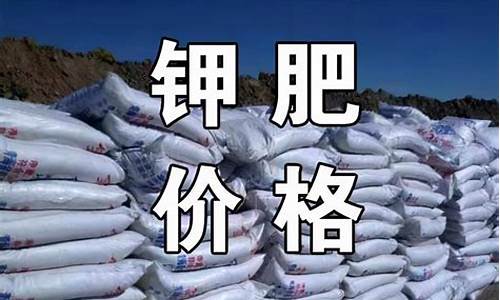 最新国际钾肥期货行情(钾肥国际市场价格走向怎么样)_https://www.eamstsz.com_科创板_第1张