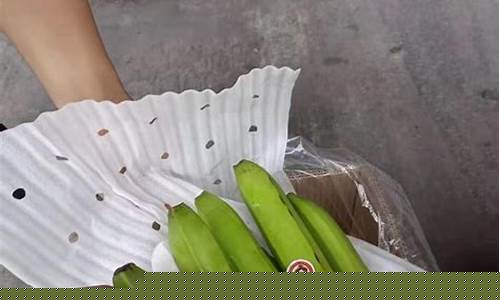 越南香蕉期货行情网首页(越南香蕉好吃吗)_https://www.eamstsz.com_深交所_第1张
