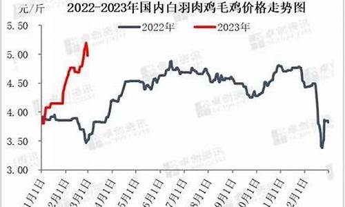 肉鸡期货市场行情走势分析(肉鸡期货什么时候上市)_https://www.eamstsz.com_上交所_第1张
