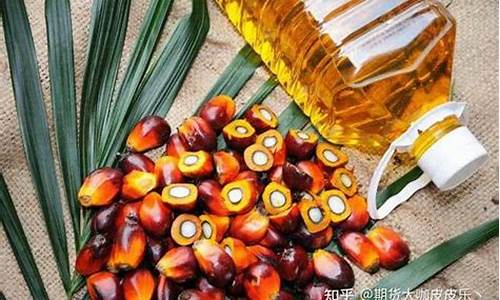 棕榈油期货怎样看行情走势(棕榈油期货怎样看行情走势分析)_https://www.eamstsz.com_创业板_第1张