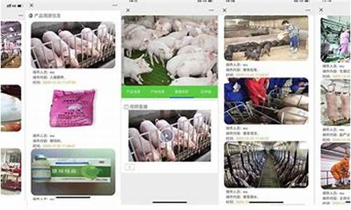 生猪期货行情查询系统最新(生猪期货行情走势分析)_https://www.eamstsz.com_深交所_第1张