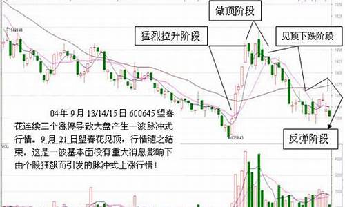 脉冲行情期货(期货现在行情)_https://www.eamstsz.com_科创板_第1张