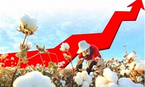 大网络棉花期货最新行情(棉花期货行情走势)_https://www.eamstsz.com_科创板_第1张
