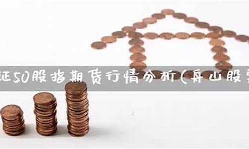 舟山期货入门行情在哪看(股市舟山港口)_https://www.eamstsz.com_创业板_第1张