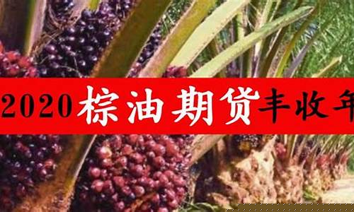 棕木油期货最新行情(棕木油期货最新行情走势)_https://www.eamstsz.com_深交所_第1张