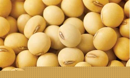 加拿大大豆期货实时行情(加拿大豆油期货)_https://www.eamstsz.com_科创板_第1张
