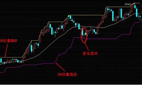 海龟期货行情(海龟股票交易系统)_https://www.eamstsz.com_深交所_第1张