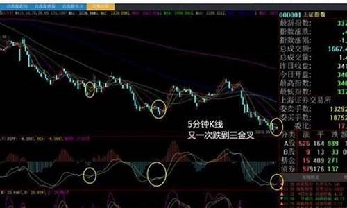 什么是白马股票(什么叫白马股票)_https://www.eamstsz.com_科创板_第1张