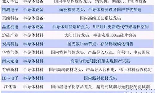 半导体芯片龙头股排名代码(半导体芯片的龙头股)_https://www.eamstsz.com_深交所_第1张