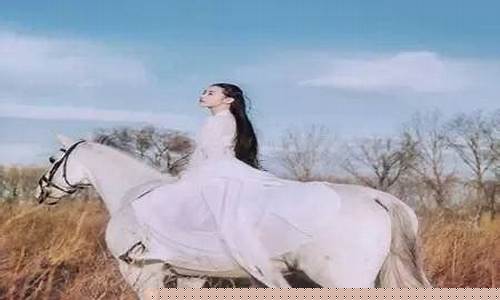 十一月炒白马什么意思(白马比喻什么意思)_https://www.eamstsz.com_科创板_第1张