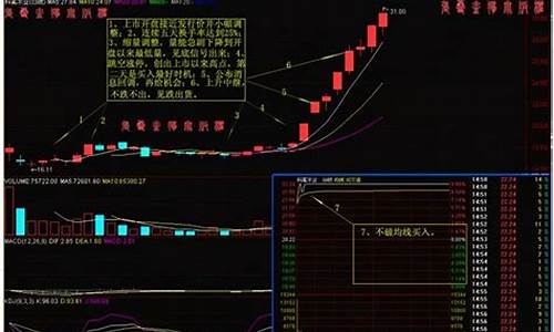 如何看哪个板块涨停最多(如何看哪个板块涨停最多呢)_https://www.eamstsz.com_科创板_第1张