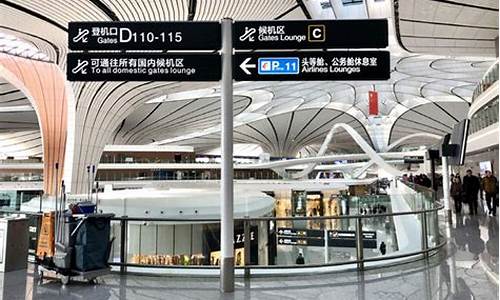 2020年民航机场(2019民航机场吞吐量)_上交所_第1张_财经网 2020年民航机场(2019民航机场吞吐量)_https://www.eamstsz.com_上交所_第1张